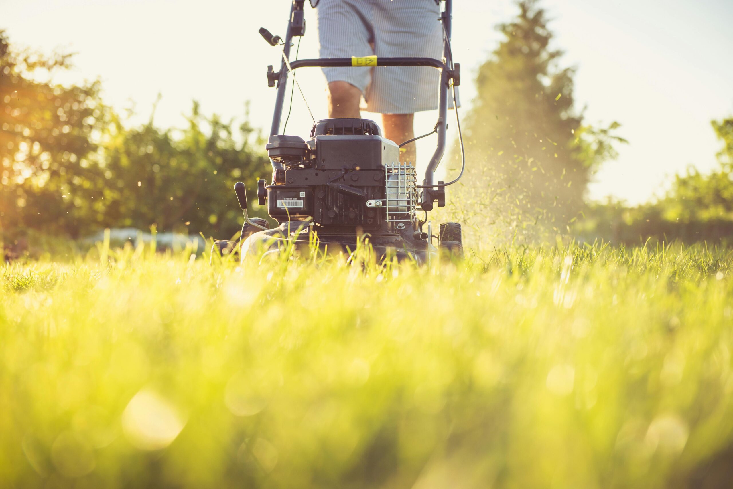 Lawn Care Quote Template: How to Price and Win Recurring Clients